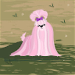 Meet your Posher, Jordynn